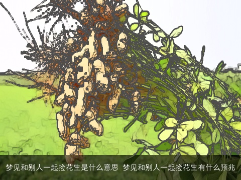 梦见和别人一起捡花生是什么意思 梦见和别人一起捡花生有什么预兆