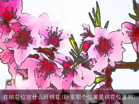 在桃花位放什么旺桃花(卧室那个位置是桃花位置啊)
