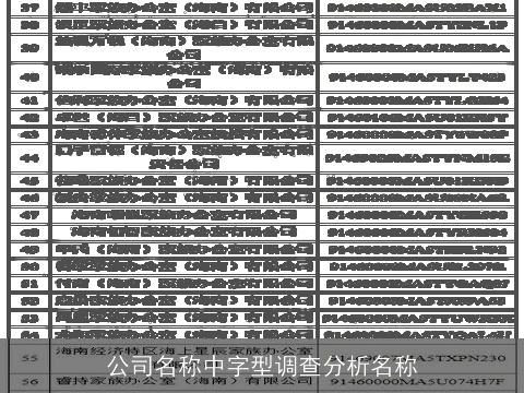 公司名称中字型调查分析名称