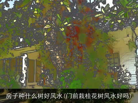 房子种什么树好风水(门前栽桂花树风水好吗)