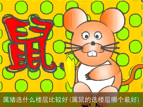 属猪选什么楼层比较好(属鼠的选楼层哪个最好)