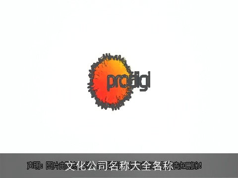 文化公司名称大全名称