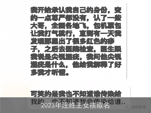 2023年汪姓王女孩取名