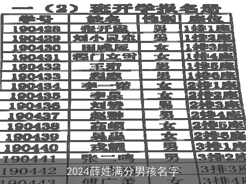 2024薛姓满分男孩名字