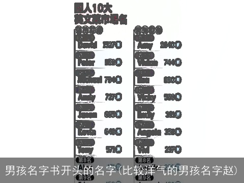 男孩名字书开头的名字(比较洋气的男孩名字赵)