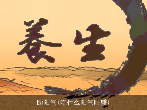 助阳气(吃什么阳气旺盛)