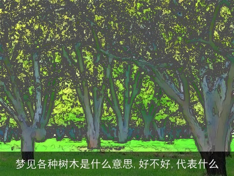 梦见各种树木是什么意思,好不好,代表什么
