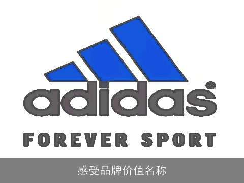 感受品牌价值名称