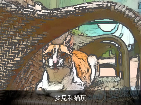 梦见和猫玩
