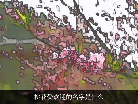 桃花受欢迎的名字是什么