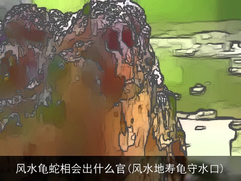 风水龟蛇相会出什么官(风水地寿龟守水口)