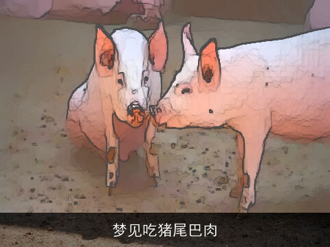 梦见吃猪尾巴肉