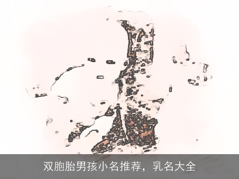 双胞胎男孩小名推荐，乳名大全