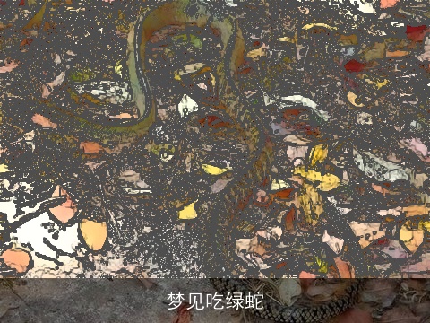 梦见吃绿蛇