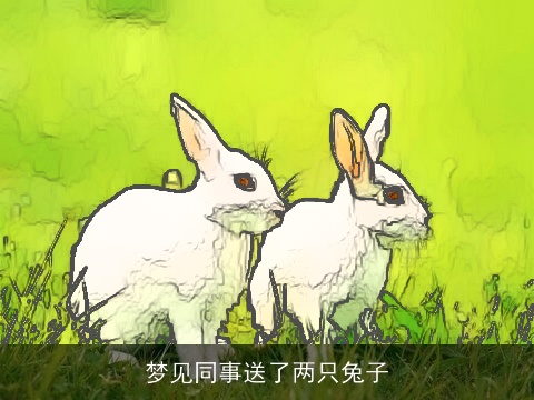 梦见同事送了两只兔子