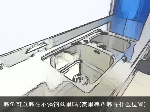 养鱼可以养在不锈钢盆里吗(家里养鱼养在什么位置)