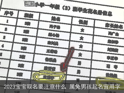 2023宝宝取名要注意什么 属兔男孩起名宜用字