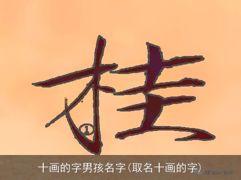 十画的字男孩名字(取名十画的字)