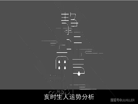 亥时生人运势分析