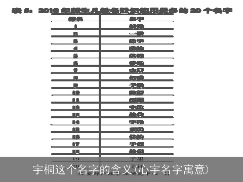 宇桐这个名字的含义(心宇名字寓意)