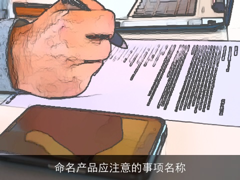 命名产品应注意的事项名称