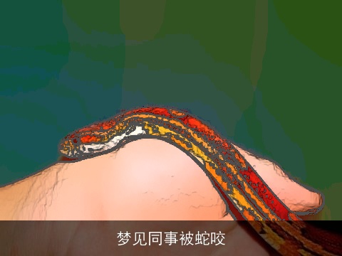 梦见同事被蛇咬
