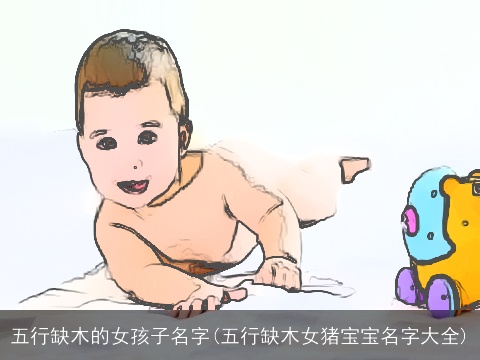 五行缺木的女孩子名字(五行缺木女猪宝宝名字大全)