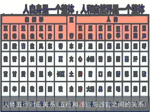 人体五行对应关系(五行和器官与器官之间的关系)