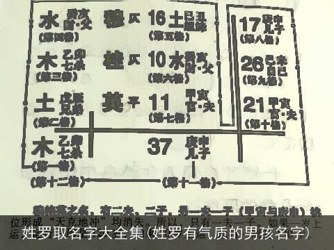 姓罗取名字大全集(姓罗有气质的男孩名字)