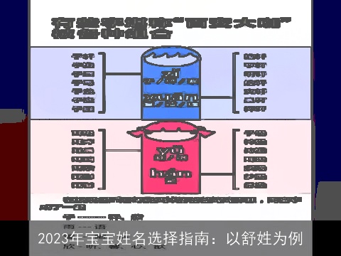 2023年宝宝姓名选择指南：以舒姓为例