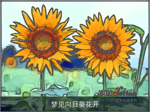 梦见向日葵花开