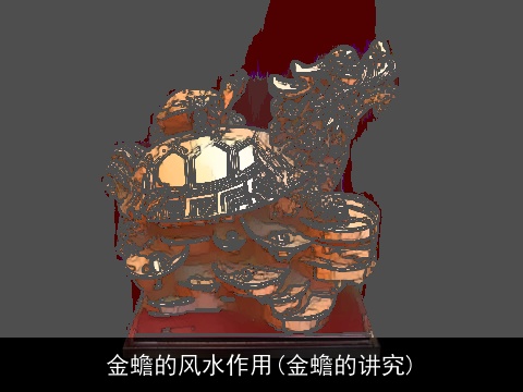 金蟾的风水作用(金蟾的讲究)