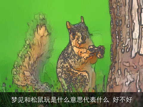 梦见和松鼠玩是什么意思代表什么 好不好