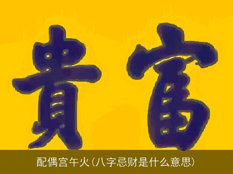 配偶宫午火(八字忌财是什么意思)
