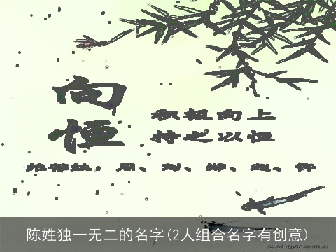 陈姓独一无二的名字(2人组合名字有创意)