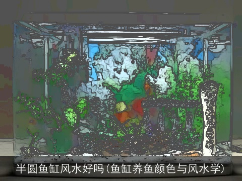 半圆鱼缸风水好吗(鱼缸养鱼颜色与风水学)