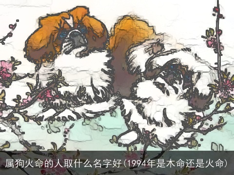 属狗火命的人取什么名字好(1994年是木命还是火命)
