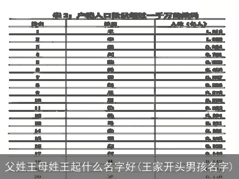 父姓王母姓王起什么名字好(王家开头男孩名字)