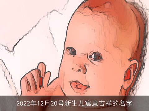 2022年12月20号新生儿寓意吉祥的名字