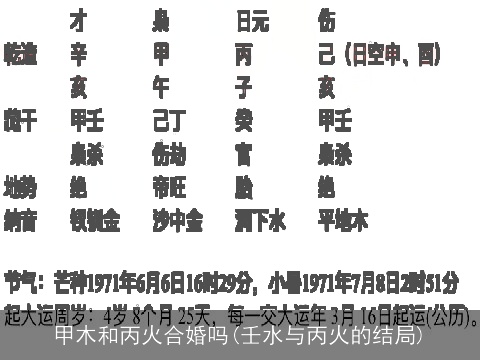 甲木和丙火合婚吗(壬水与丙火的结局)