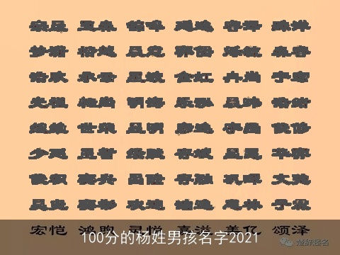 100分的杨姓男孩名字2021