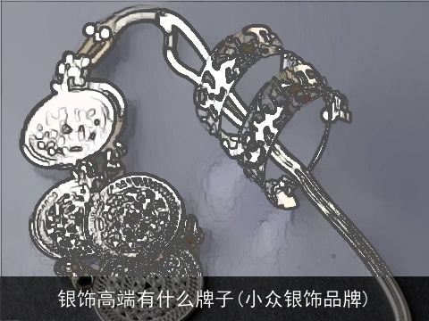 银饰高端有什么牌子(小众银饰品牌)