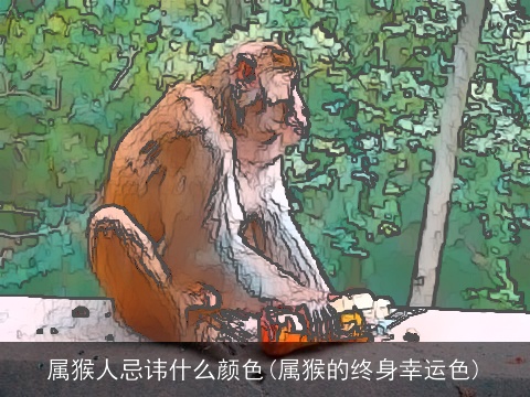 属猴人忌讳什么颜色(属猴的终身幸运色)