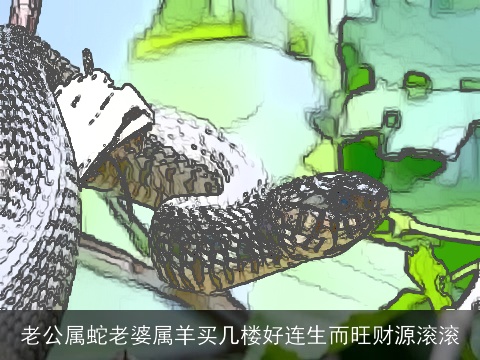 老公属蛇老婆属羊买几楼好连生而旺财源滚滚