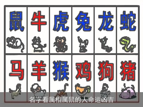名字看属相属鼠的人命运凶吉