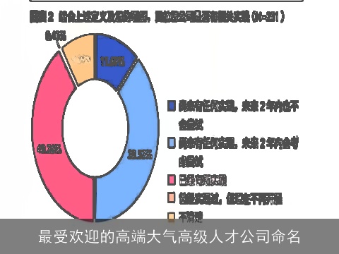 最受欢迎的高端大气高级人才公司命名