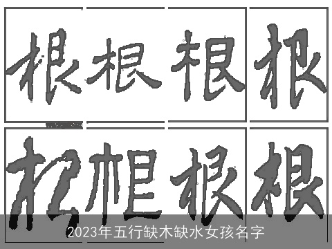 2023年五行缺木缺水女孩名字