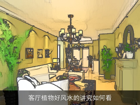 客厅植物好风水的讲究如何看