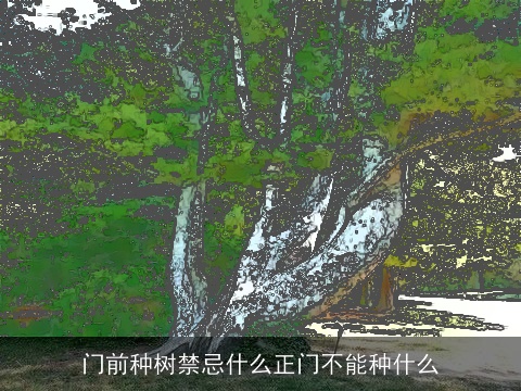 门前种树禁忌什么正门不能种什么