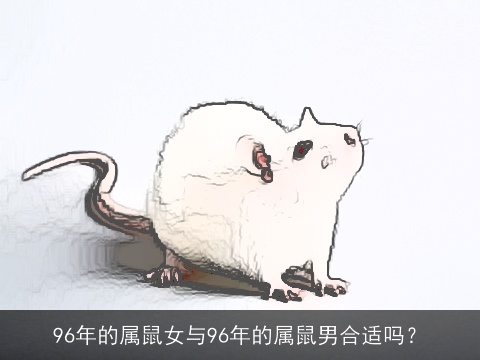 96年的属鼠女与96年的属鼠男合适吗？
